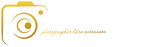 Harleybrokerphoto