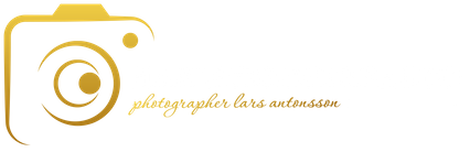 Harleybrokerphoto